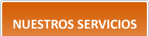 Our Services